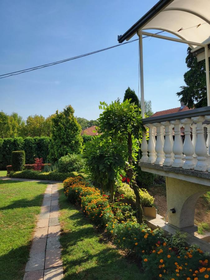 Garden *